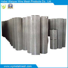 Hot Sales Electro Galvanized Welded Wire Mesh